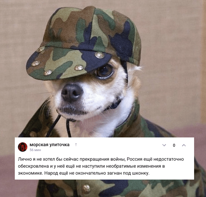 ulitych.png