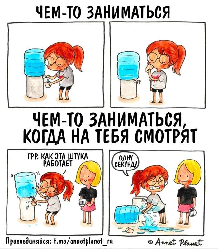 173321853612623400.jpg