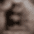 1000006465.png