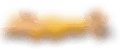 dancing-bear-discount-porn-trial-offer.png