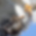 xhw595rfykjf1.jpeg
