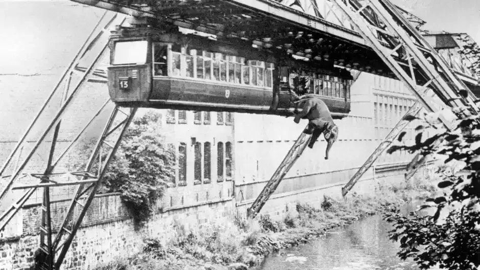 weil-die-mitgereisten-reporter.jpg.webp