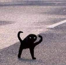 images.jpeg