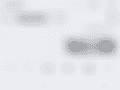 blob