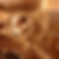 IMG_3108.jpeg