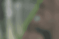 1200_800.png