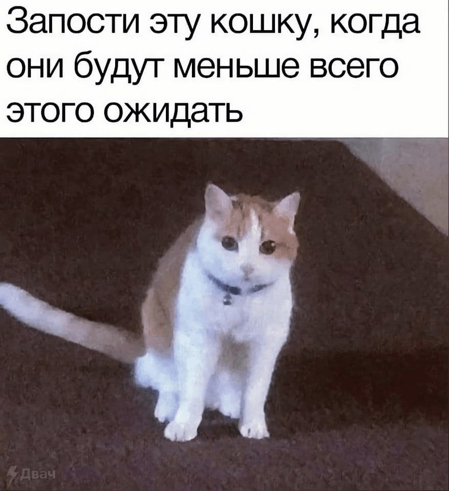 изображение.png