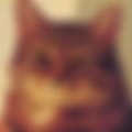 images (1).jpeg