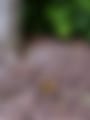 1751904484850.jpg
