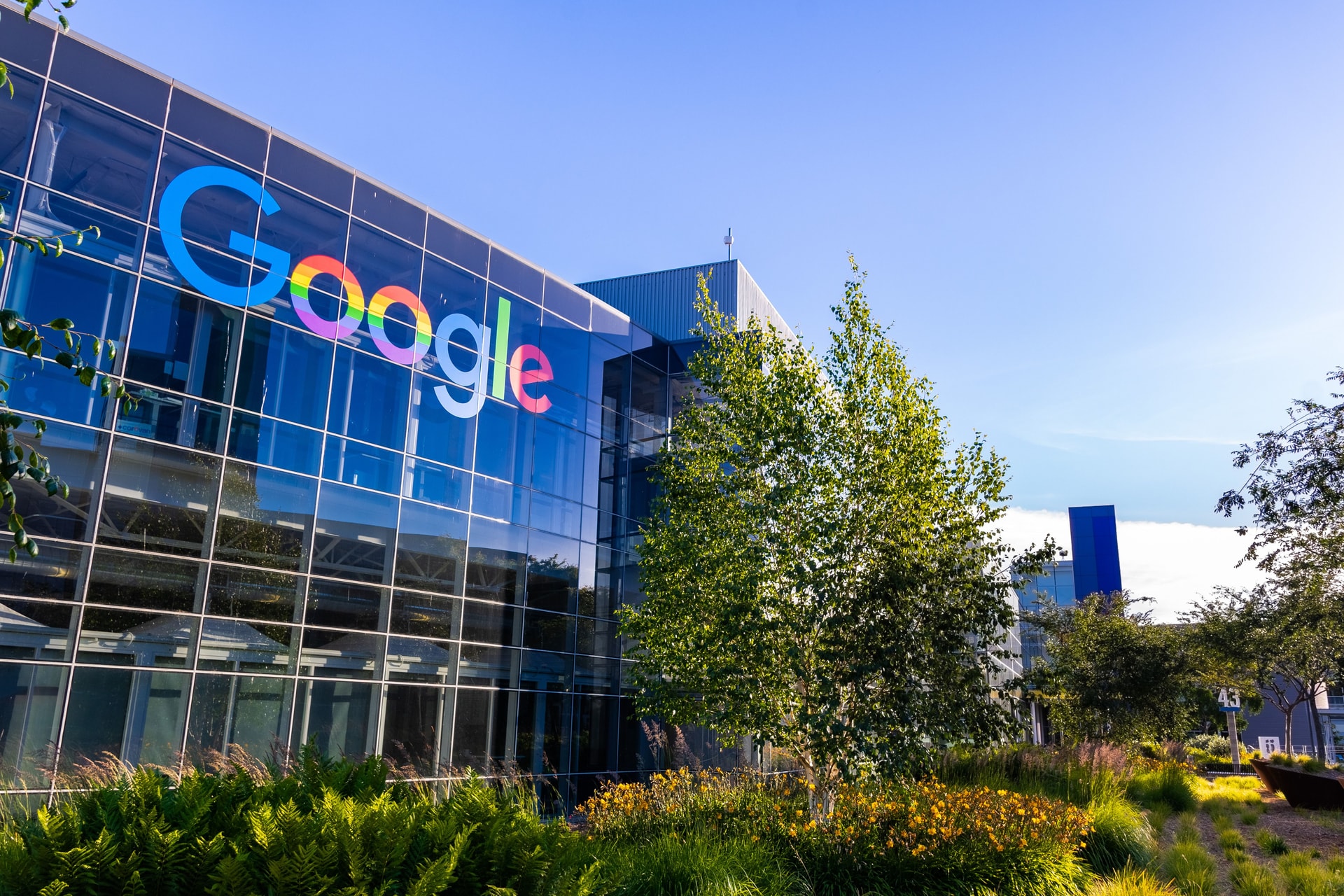 Google пытается конкурировать с OpenAI. Sundry Photography - stock.adobe.co