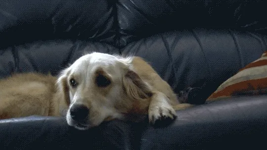 On7u.gif