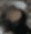 IMG_4452.png
