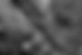hMCTqAdQxp30p79YLuyXWzrv9fMbOMp0wTF_8ndqrA3iuKHdEsRFbw1YVZWmxw7gO9CHV96WEurizo9of6BJwZ43.jpg