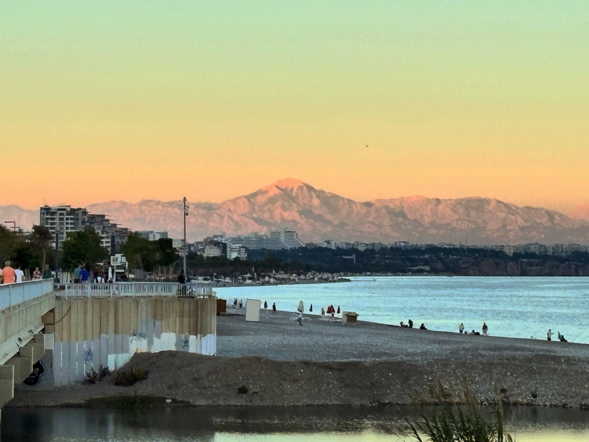 Изображение к статье Без заголовка