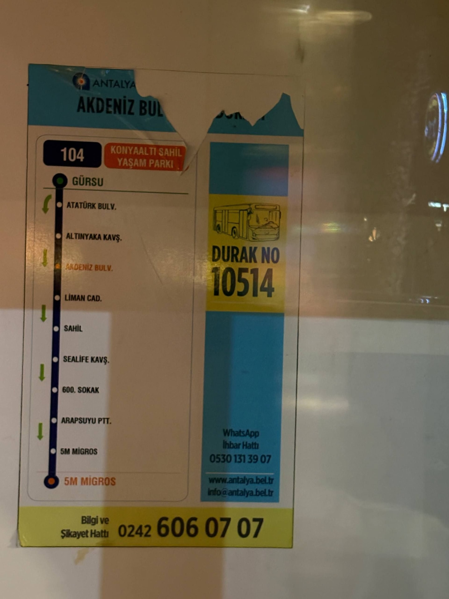 Изображение к статье Без заголовка